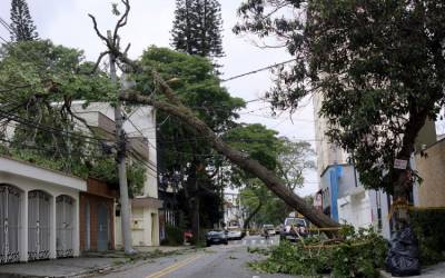 Zona Sul de São Paulo foi a mais atingida pelo apagão e lidera fila de pedidos de poda de árvore