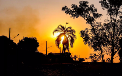 Prepara o Tereré: temperaturas acima da média devem se estender até janeiro em MS