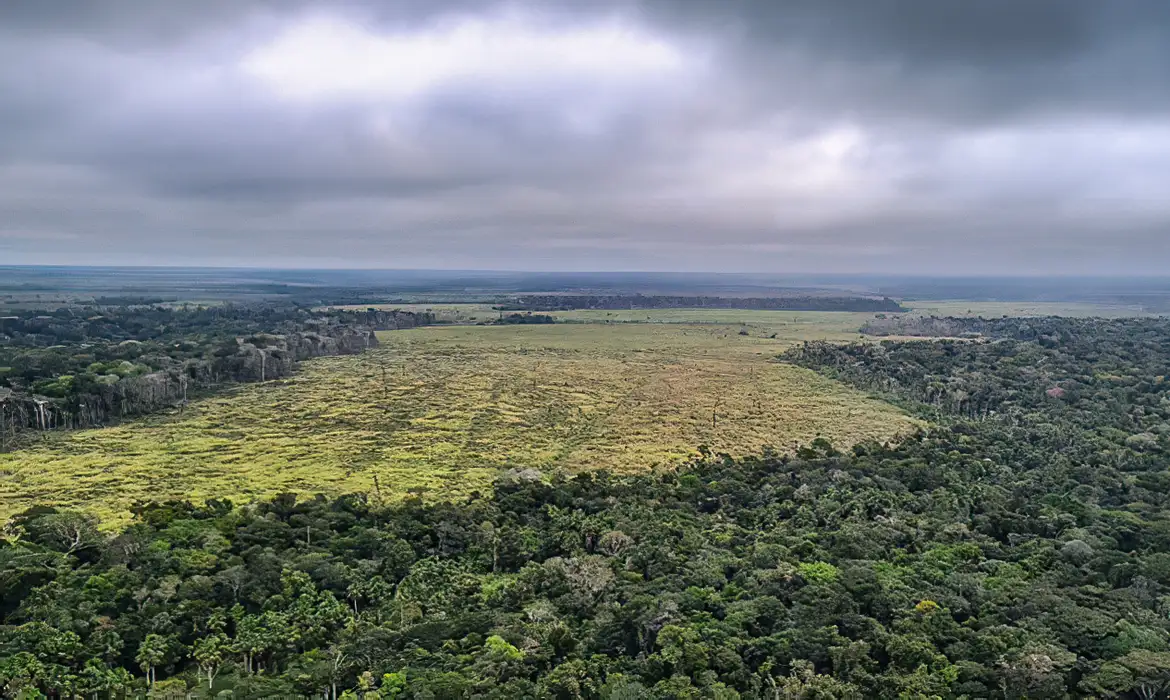 Operação combate fraudes no crédito rural e desmatamento na Amazônia