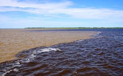 Águas dos rios Negro e Solimões voltam a baixar