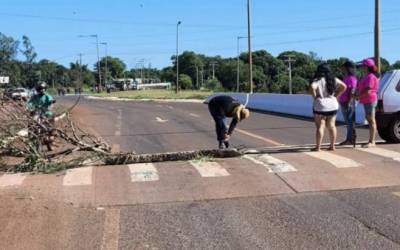 Indígenas bloqueiam MS-156 entre Dourados e Itaporã em protesto contra falta de água